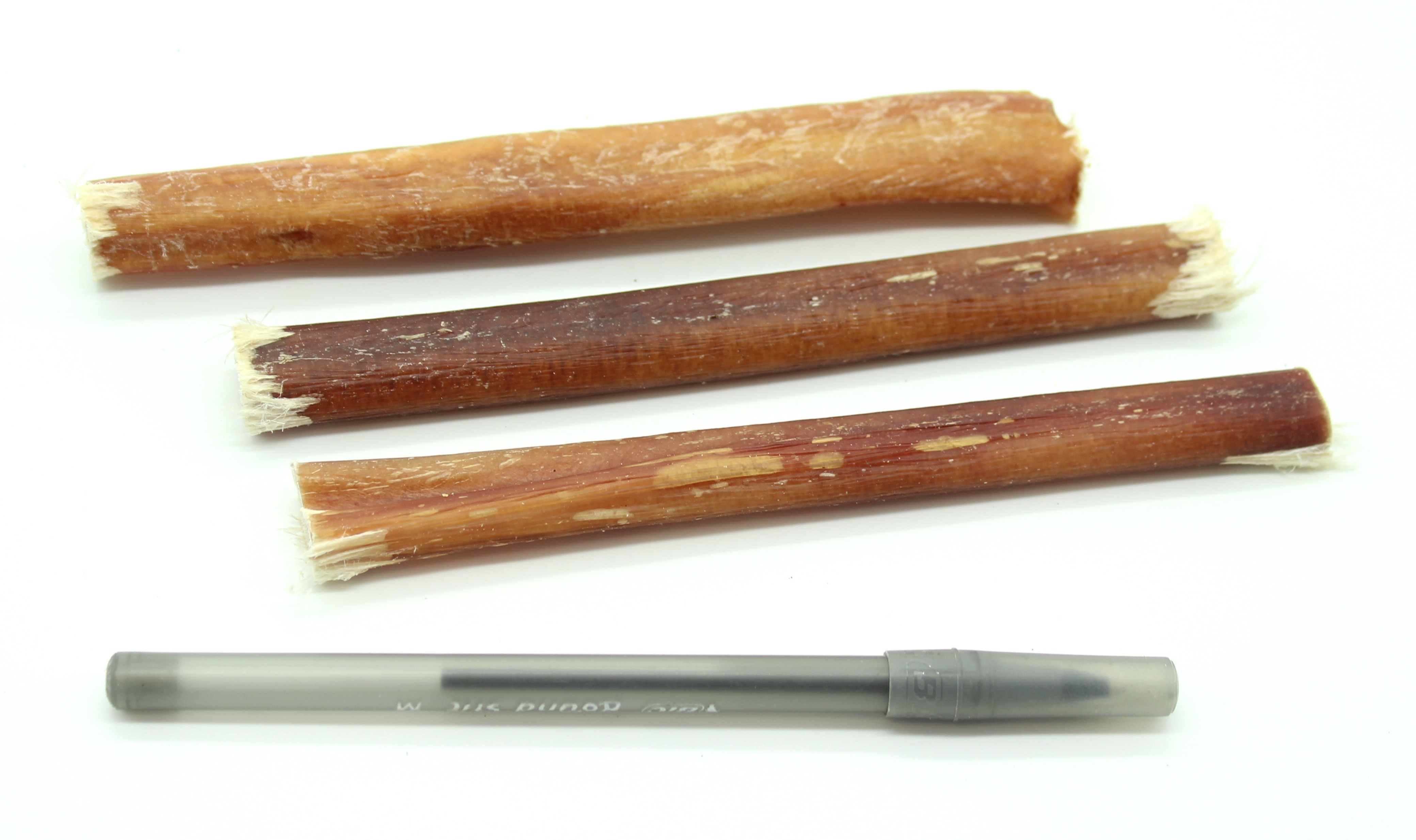 Regular Antler 6 to 9 inch long antler BullySticks.ca