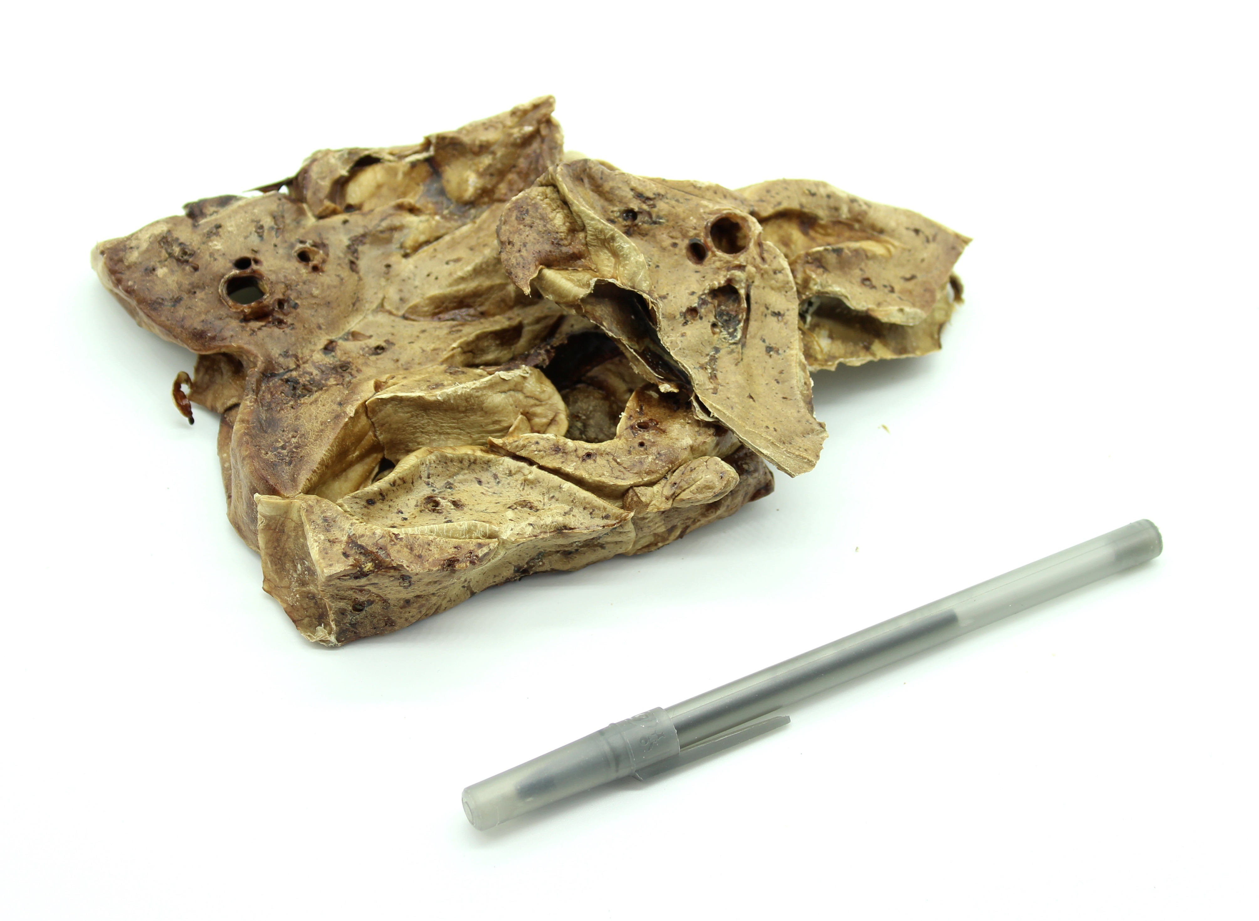 Lamb Lung 2 1pound Bags PLUS 2 LB BONUS LAMB STICKS BullySticks.ca