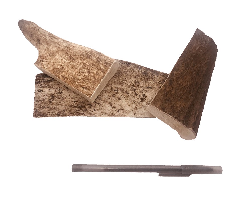 Naturally Shed Moose Antler - BullySticks.ca