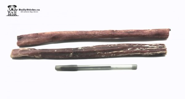 ODOURFREE 12" JUMBO BULLY STICKS 50 (2x25)