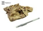 Lamb Lung 2 LBS