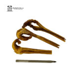 4-6" USA odourfree Bully Sticks 100 at $142.00