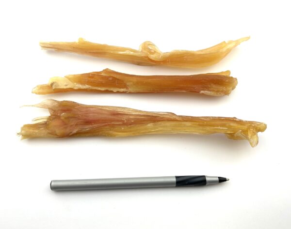 **NEW**Odourfree Standard Tendon Dental Chew  50, (6-9" long)(50)